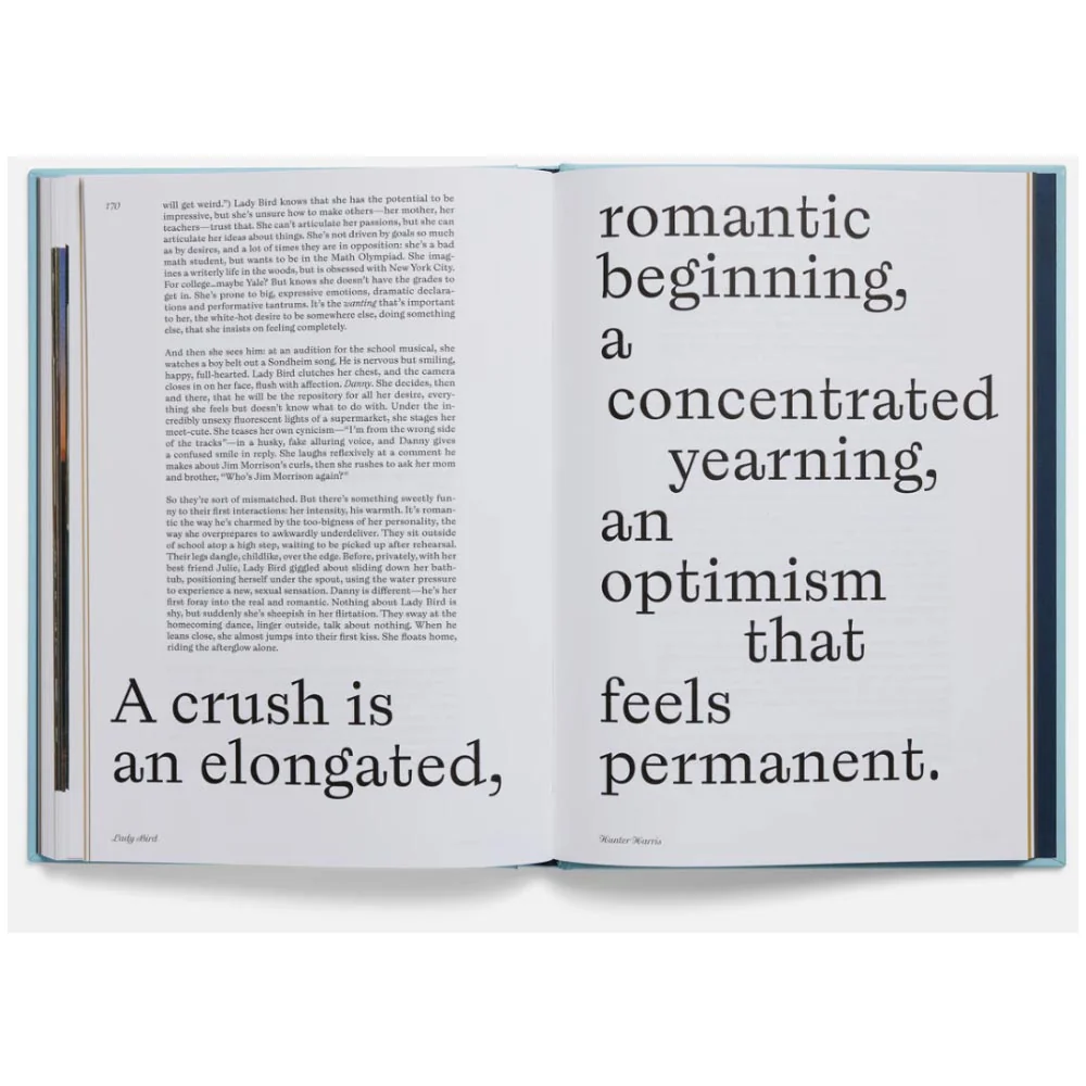 LADY BIRD SCREENPLAY BOOK - Image 7