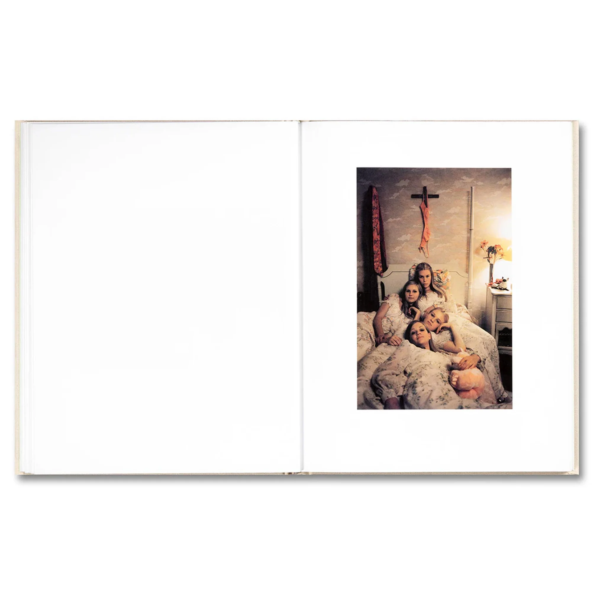 THE VIRGIN SUICIDES - Image 10