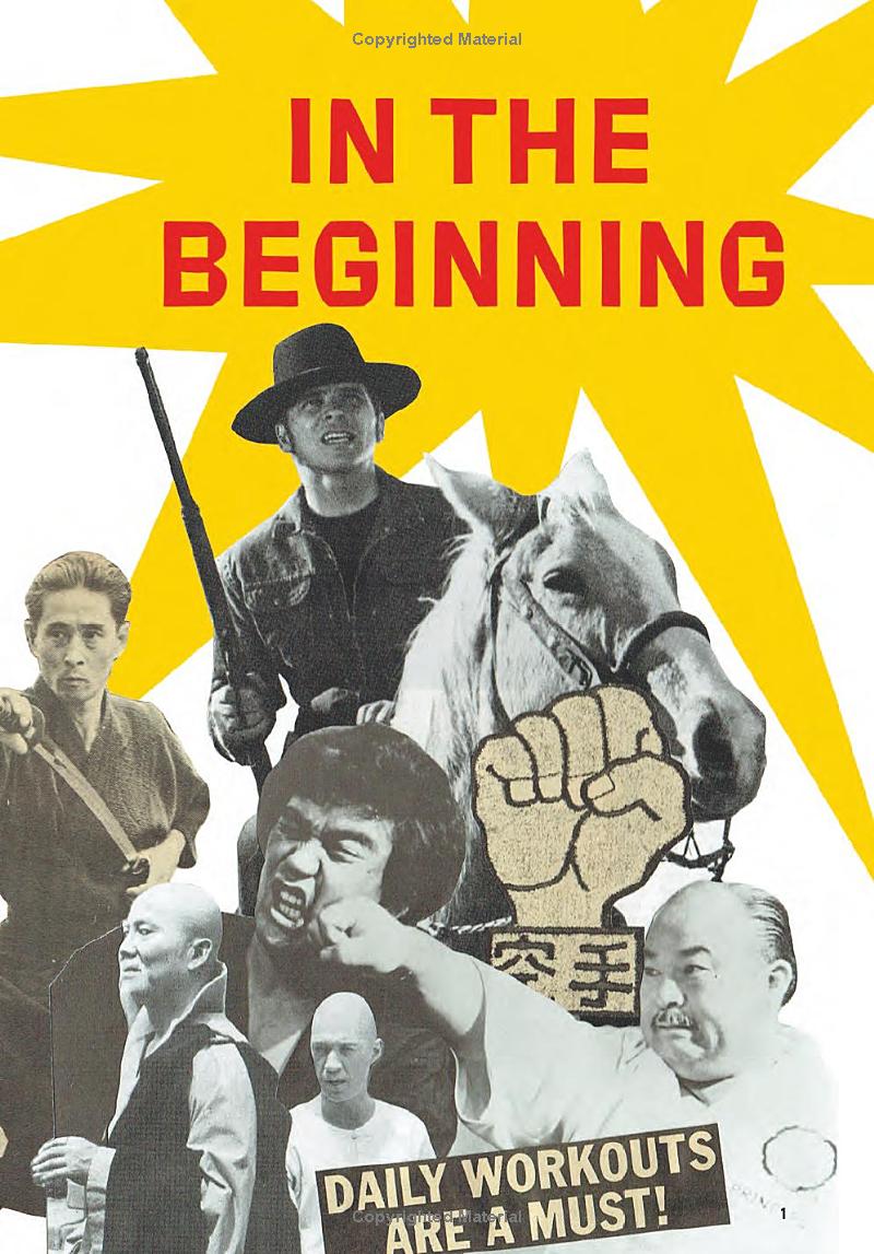 THESE FISTS BREAK BRICKS (REVISED AND EXPANDED EDITION) - Image 10