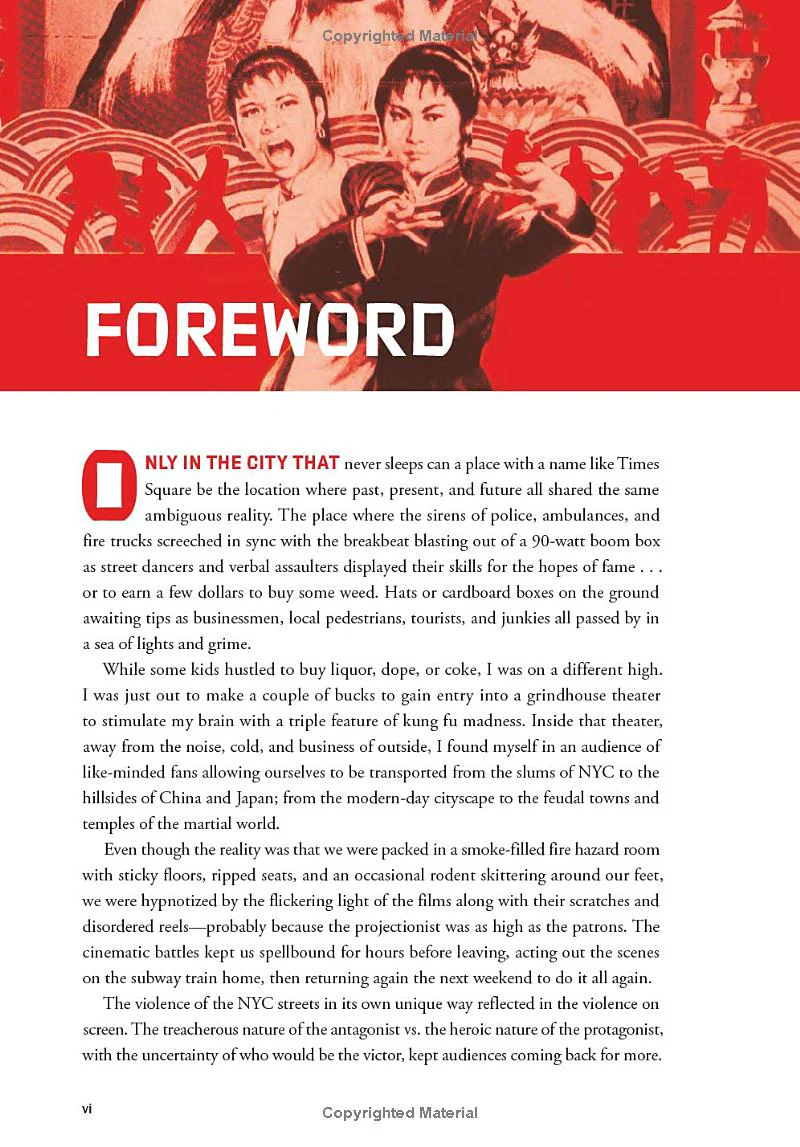 THESE FISTS BREAK BRICKS (REVISED AND EXPANDED EDITION) - Image 5